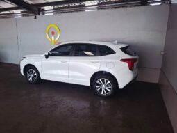 
										2023 Haval Julion 1.5T Premium DCT full									