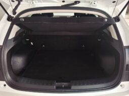 
										2023 Haval Julion 1.5T Premium DCT full									