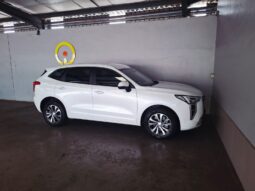 
										2023 Haval Julion 1.5T Premium DCT full									