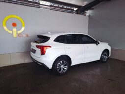 
										2023 Haval Julion 1.5T Premium DCT full									